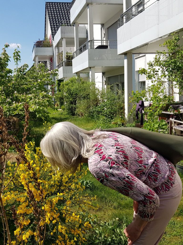 Copyright: Stadt Oldenburg Eine Frau beugt sich über eine blühende Pflanze.